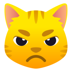 Angry Cat Emojis Meaning