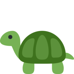 🐢 Tortoise - Emojis Meaning